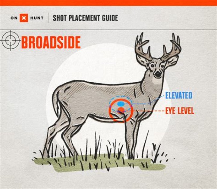 How to Shoot Trump: A Comprehensive Guide